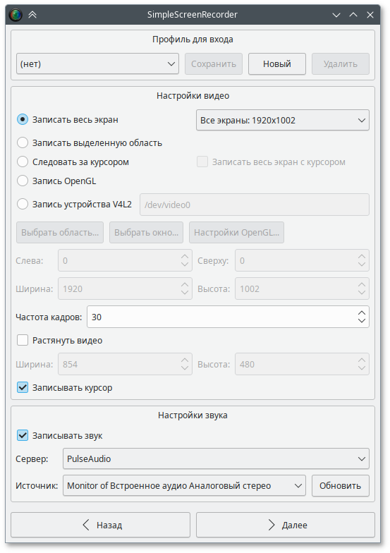 Окно настроек SimpleScreenRecorder (input)