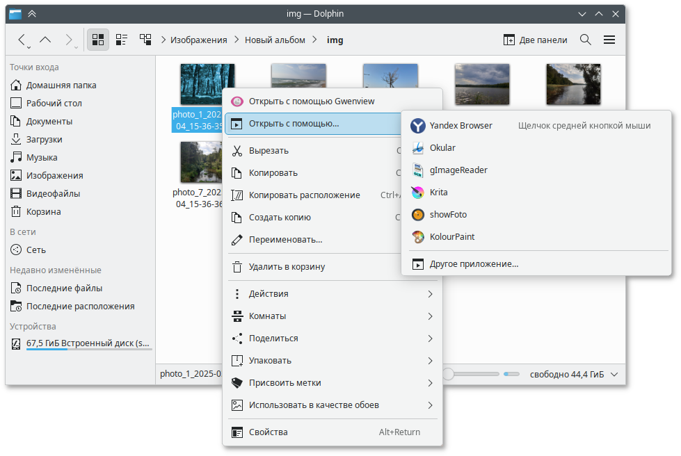 Dolphin. Выбор приложения