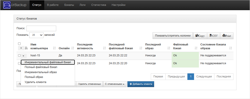 UrBackup. Запуск резервного копирования