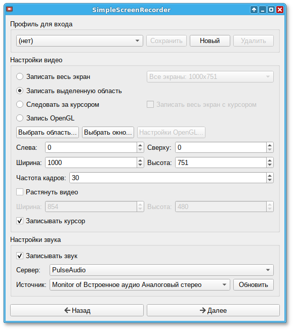 Окно настроек SimpleScreenRecorder (input)