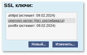 Ключ openvpn-server