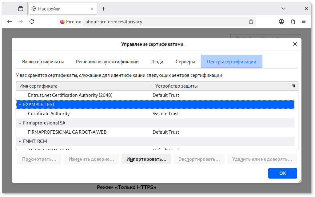 Сертификат для example.test
